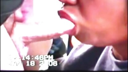 Szympans sex z psem film