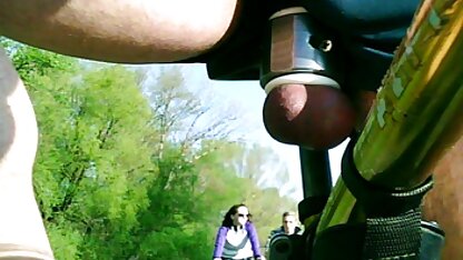 Dwa koty na motocyklu . sex party amatorskie